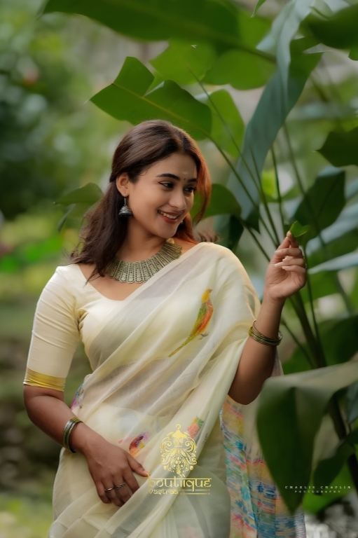 Premium Weaving Patta Linen Cotton Silver Saree