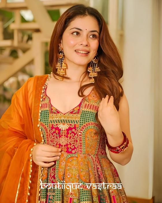 Royal Multicolor Heritage Anarkali Gown   (SCNX 1197)